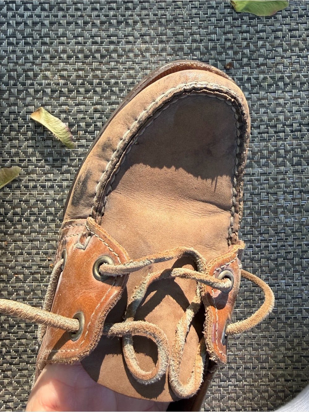 Sebago Docksiders - Picture 6 of 6
